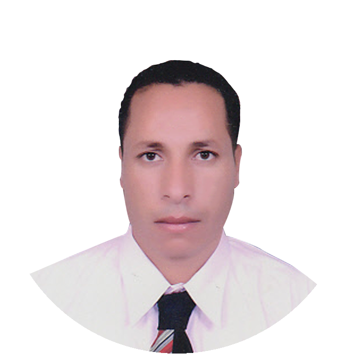 Mr. Hamdy Soliman Ali